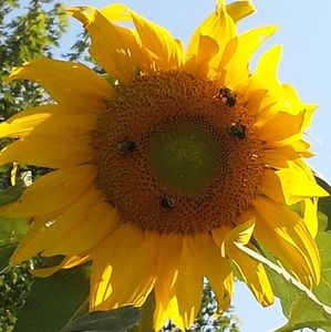 Meet your Posher, Brenda